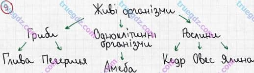 Розв'язання та відповідь 9. Біологія 6 клас Задорожний (2017, робочий зошит). Підсумкове узагальнення знань. Варіант 1