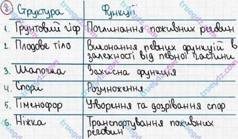 Розв'язання та відповідь 8. Біологія 6 клас Задорожний (2017, робочий зошит). Підсумкове узагальнення знань. Варіант 2