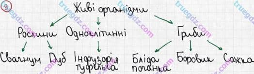 Розв'язання та відповідь 9. Біологія 6 клас Задорожний (2017, робочий зошит). Підсумкове узагальнення знань. Варіант 2