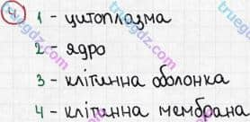 Розв'язання та відповідь 4. Біологія 6 клас Задорожний (2017, робочий зошит). Повторення теми «Клітина». Варіант 1