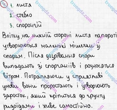 Розв'язання та відповідь 4. Біологія 6 клас Задорожний (2017, робочий зошит). Повторення теми «Різноманітність рослин». Варіант 1