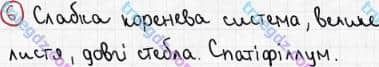 Розв'язання та відповідь 6. Біологія 6 клас Задорожний (2017, робочий зошит). Повторення теми «Різноманітність рослин». Варіант 1