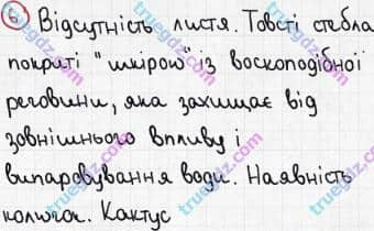 Розв'язання та відповідь 6. Біологія 6 клас Задорожний (2017, робочий зошит). Повторення теми «Різноманітність рослин». Варіант 2