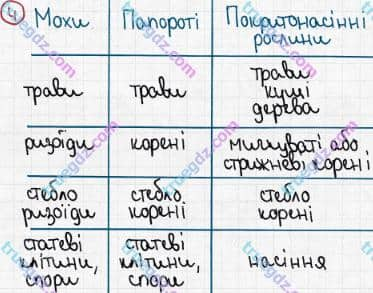 Розв'язання та відповідь 4. Біологія 6 клас Задорожний (2017, робочий зошит). Зошит для практичних робіт. Практична робота 3