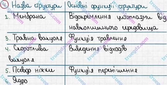 Розв'язання та відповідь 4. Біологія 6 клас Задорожний (2017, робочий зошит). Тема 2. Одноклітинні організми. Одноклітинні твариноподібні організми