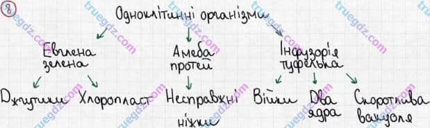 Розв'язання та відповідь 8. Біологія 6 клас Задорожний (2017, робочий зошит). Тема 2. Одноклітинні організми. Одноклітинні твариноподібні організми