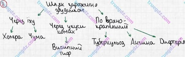 Розв'язання та відповідь 8. Біологія 6 клас Задорожний (2017, робочий зошит). Тема 2. Одноклітинні організми. Бактерії