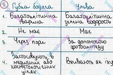 Розв'язання та відповідь 5. Біологія 6 клас Задорожний (2017, робочий зошит). Тема 2. Одноклітинні організми. Багатоклітинні організми