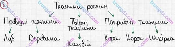 Розв'язання та відповідь 8. Біологія 6 клас Задорожний (2017, робочий зошит). Тема 3. Рослини. Особливості будови рослин