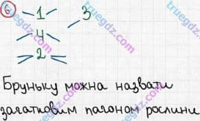 Розв'язання та відповідь 6. Біологія 6 клас Задорожний (2017, робочий зошит). Тема 3. Рослини. Будова пагона