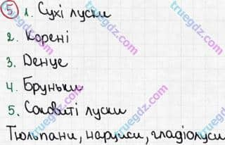 Розв'язання та відповідь 5. Біологія 6 клас Задорожний (2017, робочий зошит). Тема 3. Рослини. Різноманітність та видозміни пагонів і листків