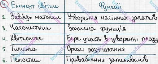 Розв'язання та відповідь 4. Біологія 6 клас Задорожний (2017, робочий зошит). Тема 3. Рослини. Квітки і суцвіття