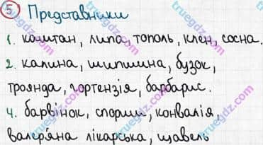 Розв'язання та відповідь 5. Біологія 6 клас Задорожний (2017, робочий зошит). Тема 4. Різноманітність рослин. Екологічні групи рослин