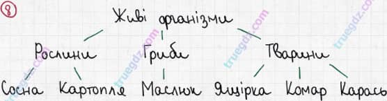 Розв'язання та відповідь 8. Біологія 6 клас Задорожний (2017, робочий зошит). Вступ. Основні властивості живого. Різноманітність життя